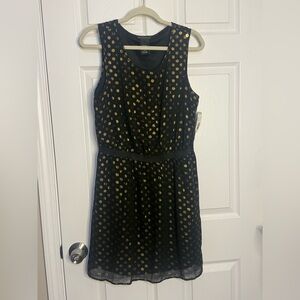 Metaphor Black Dress with Gold Dots
